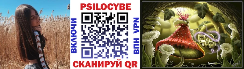 купить закладку Сорск Псилоцибиновые грибы GOLDEN TEACHER